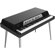 Waldorf Zarenbourg Electric Piano, Black: Picture 2 thumbnail