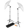 Westcott LED 2-Light Umbrella Kit: Picture 1 thumbnail