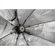 Westcott uLite with 26" Octabox: Picture 6 thumbnail