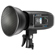 Westcott Wide Umbrella Reflector: Picture 29 thumbnail