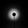 Westcott Deep Focus Reflector: Picture 15 thumbnail