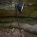 Westcott M6 Tripod Plate: Picture 2 thumbnail