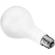 Westcott Photoflood Lamp: Picture 1 thumbnail