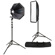 Westcott Switch 2-Light Kit: Picture 1 thumbnail