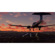 Microsoft Flight Simulator: Picture 6 thumbnail