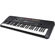 Yamaha PSR-E263: Picture 1 thumbnail