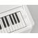 Yamaha Arius YDP-S55: Picture 5 thumbnail