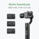 YI PTZ Handheld Gimbal: Picture 4 thumbnail