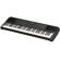 Yamaha PSR-E273: Picture 1 thumbnail