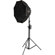 Zhiyun Octagonal Softbox 90D: Picture 10 thumbnail