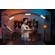 Zhiyun FIVERAY F100: Picture 10 thumbnail