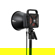 Zhiyun MOLUS G300: Picture 8 thumbnail