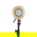 Zhiyun MOLUS B100: Picture 2 thumbnail