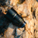 Zeiss Otus ML: Picture 10 thumbnail
