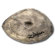 Zildjian FX Raw Crash: Picture 1 thumbnail