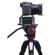 Zoom Zoom F6: Picture 8 thumbnail