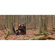 Zeiss Conquest DL: Picture 6 thumbnail