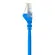 Belkin Cat5e Ethernet Cable: Picture 6 thumbnail
