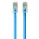 Belkin Cat5e Ethernet Cable: Picture 2 thumbnail