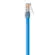 Belkin Cat5e Ethernet Cable: Picture 5 thumbnail
