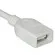 C2G Cables To Go 1m (3.28') USB 2.0 A Ma...: Picture 1 thumbnail