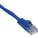 Comprehensive CAT5-350-50BLU: Picture 1 thumbnail