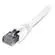 Comprehensive 14' Cat6 550 MHz Snagless ...: Picture 1 thumbnail