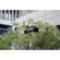 Cytop TE4: Picture 9 thumbnail