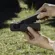 DJI Osmo Pocket 3: Picture 18 thumbnail