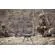 FLIR SkyRaider R80D: Picture 5 thumbnail