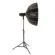 Glow EZ Lock Beauty Dish: Picture 6 thumbnail