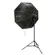 Glow EZ Lock Octa Softbox: Picture 28 thumbnail