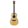 Ibanez AVT1: Picture 1 thumbnail