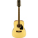 Ibanez PF1512: Picture 1 thumbnail