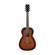 Ibanez PN12E: Picture 1 thumbnail