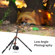 K&F Concept SA254M2: Picture 11 thumbnail