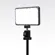 Lume Cube Broadcast Kit: Picture 2 thumbnail
