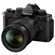 Nikon Z f: Picture 2 thumbnail