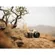 OM SYSTEM OM-5 MARK II: Picture 12 thumbnail