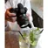 Panasonic LUMIX S 24-60mm f/2.8: Picture 21 thumbnail