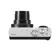 Panasonic LUMIX ZS99 Digital Camera: Picture 8 thumbnail