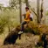 Peak Design 7L Outdoor Sling Bag: Picture 13 thumbnail