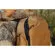 Peak Design 30L Travel Backpack: Picture 15 thumbnail