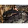 Peak Design 30L Travel Backpack: Picture 18 thumbnail