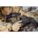 Peak Design 30L Travel Backpack: Picture 13 thumbnail
