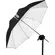 Profoto 10098 S: Picture 1 thumbnail