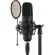 Senal Sound SC-550X: Picture 1 thumbnail