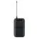 Shure BLX1288/MX153: Picture 6 thumbnail