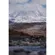 Sigma 200mm f/2 DG OS Sports Lens: Picture 14 thumbnail