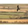 Sigma 300-600mm f/4: Picture 9 thumbnail